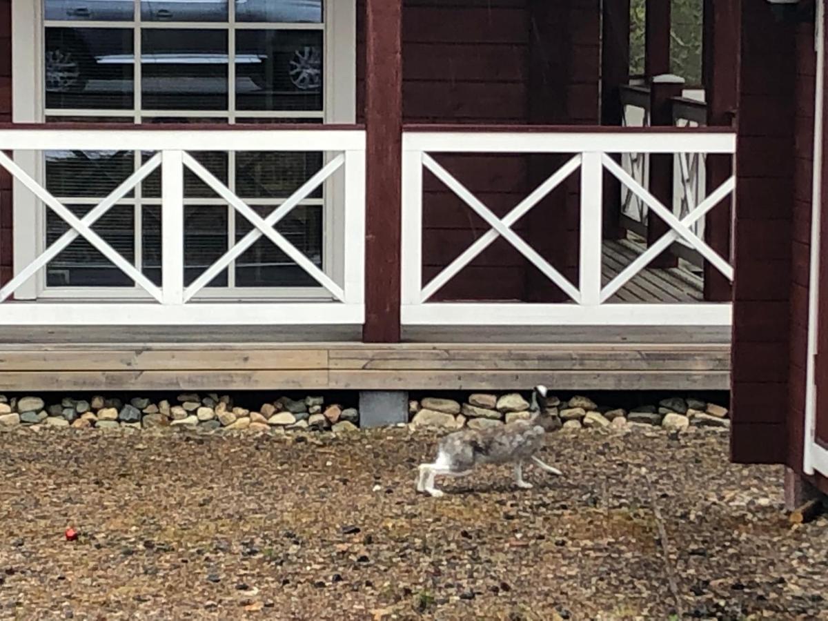 Levi Unelma Villa Exteriör bild